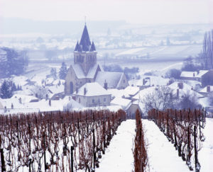 Snow covered vineyards around village of Ville-Dommange. Marne, France. [Champagne] ©CEPHAS / Mick Rock