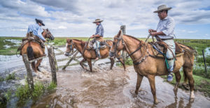 Gauchos on a traditional Argentinian cattle farm, Estancia San Juan de Poriahu, Ibera Wetlands, Argentina ©Matthew Williams-Ellis / robertharding