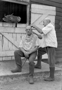 Cowman cutting hair. John Tarlton. ©TheMERL [P TAR PH1/3/10/9/209/1]