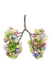 Spring flowers representing human lungs, conceptual studio shot.