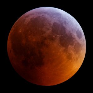 Blood wolf super moon eclipse of 2019. The beautiful colours of the Moon as it became immersed in Earth's shadow. This particular eclipse was also a Supermoon and Wolf moon. ©Jamie Cooper/Science & Society Picture Library