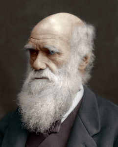 Charles Darwin, British naturalist, 1878. Photographed from life by Lock and Whitfield, with brief biographical notices by Thompson Cooper. ©The Print Collector/Heritage Images