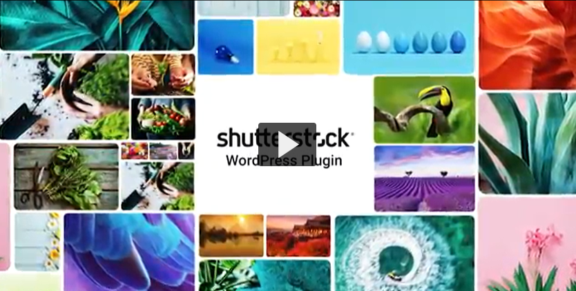 Shutterstock wordpress