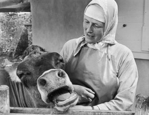 Sister Augustina manages the affairs of the Benedictine Minster Abbey, Isle of Sheppey, Kent and also has a humorous relationship with Chocky the cow. Date: 1980s
