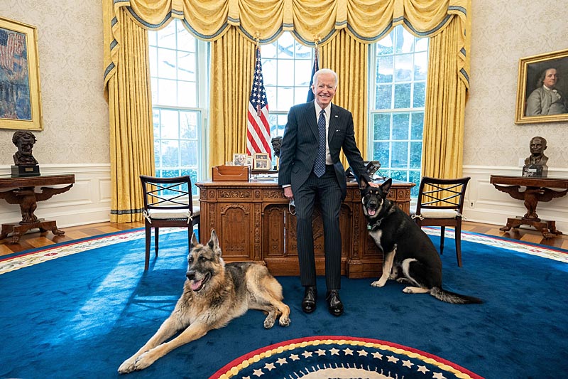 President Joe Biden with the Biden family dogs, Champ and Major, in the Oval Office of the White House, Feb. 9, 2021 (BSLOC_2021_4_15)