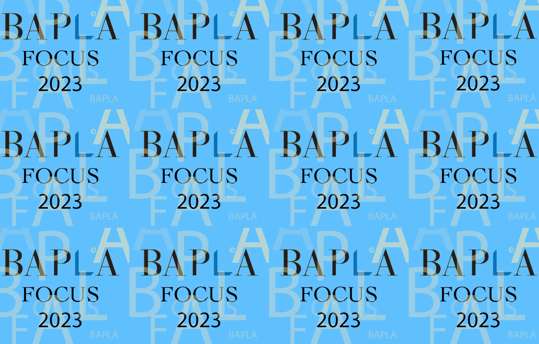 BAPLA 2023 logo cropped